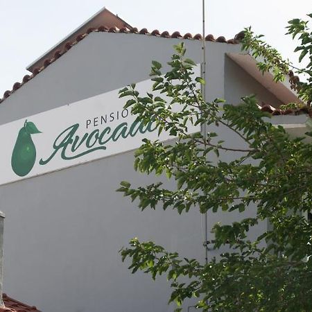 Pension Avocado Skiathos Exterior photo